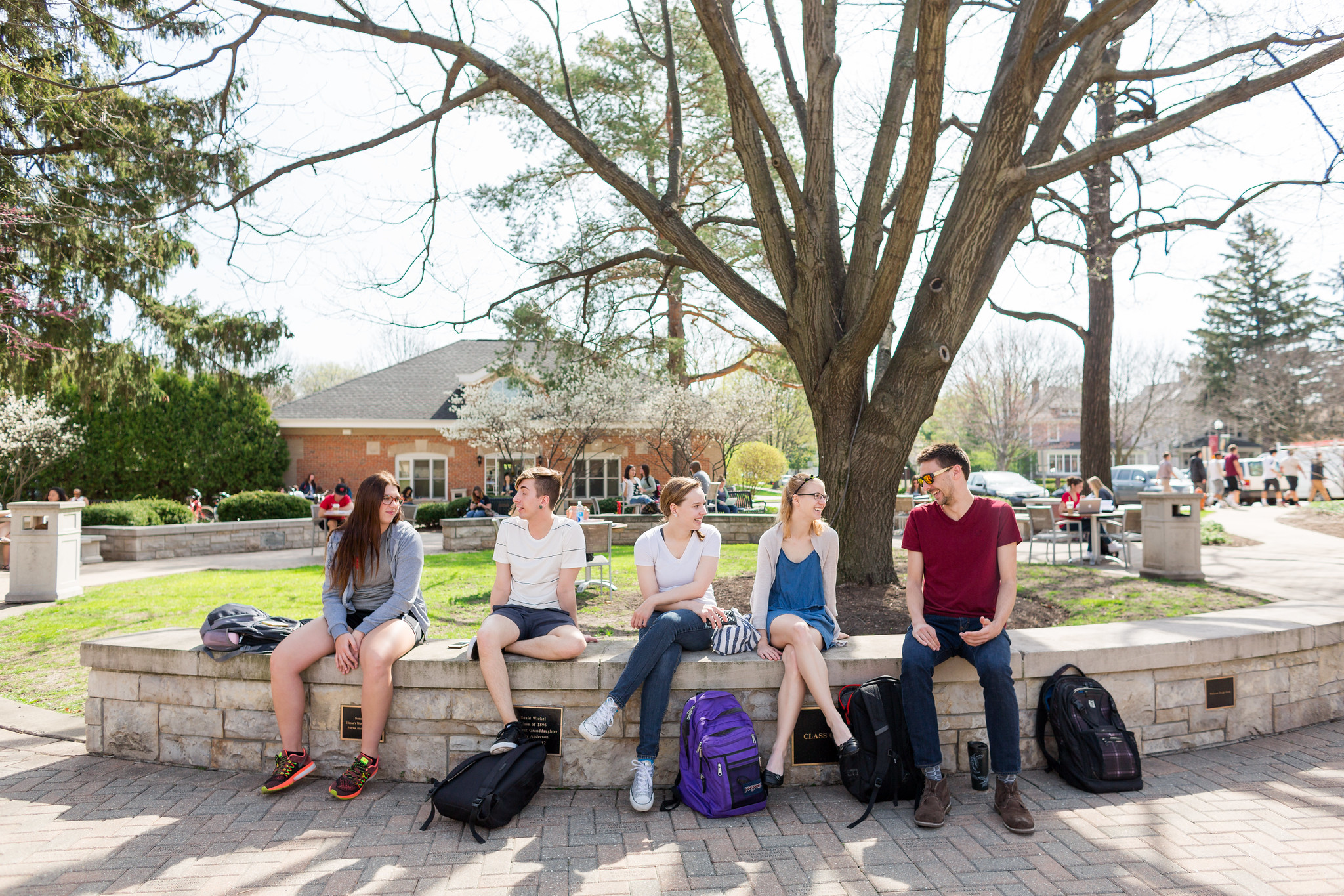 Students Studying