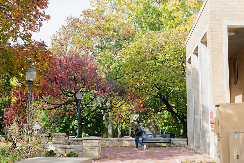 Outdoor photo of campus