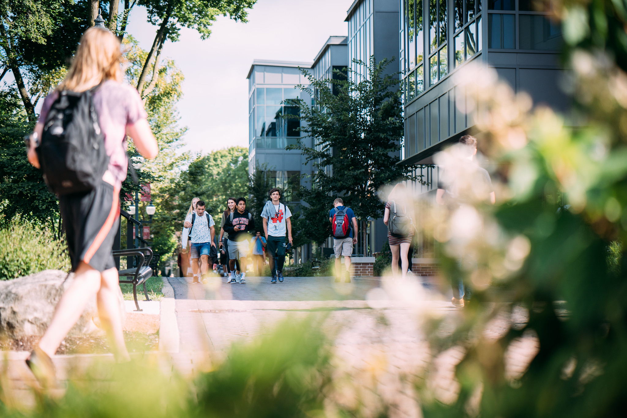 Students walking across campus