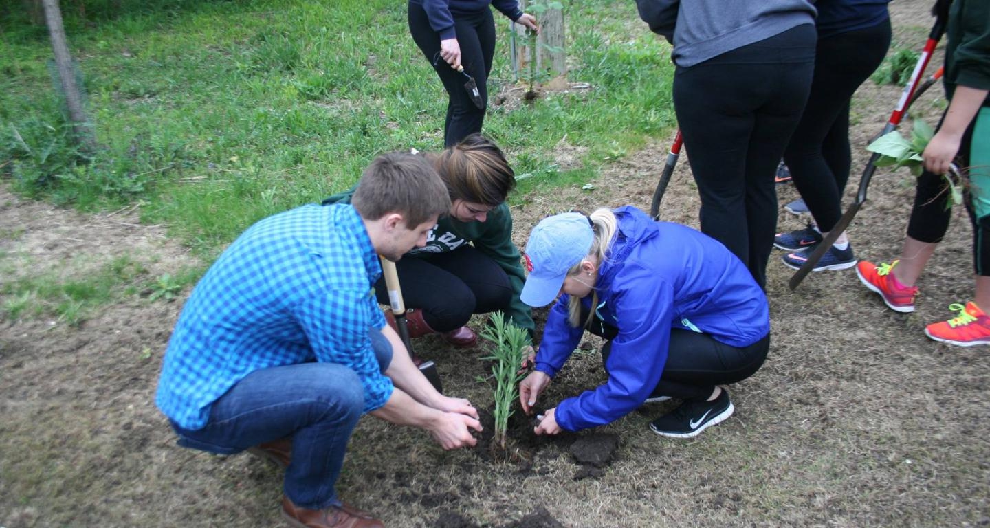 North Central College environmental studies majors working on a project outdoors.