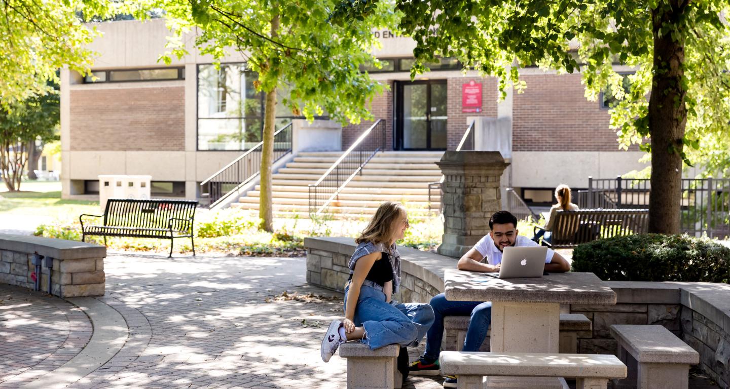 North Central College sitting outside on campus.