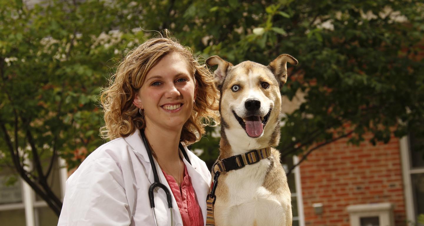 How Long Does it Take to Become a Veterinarian North Central