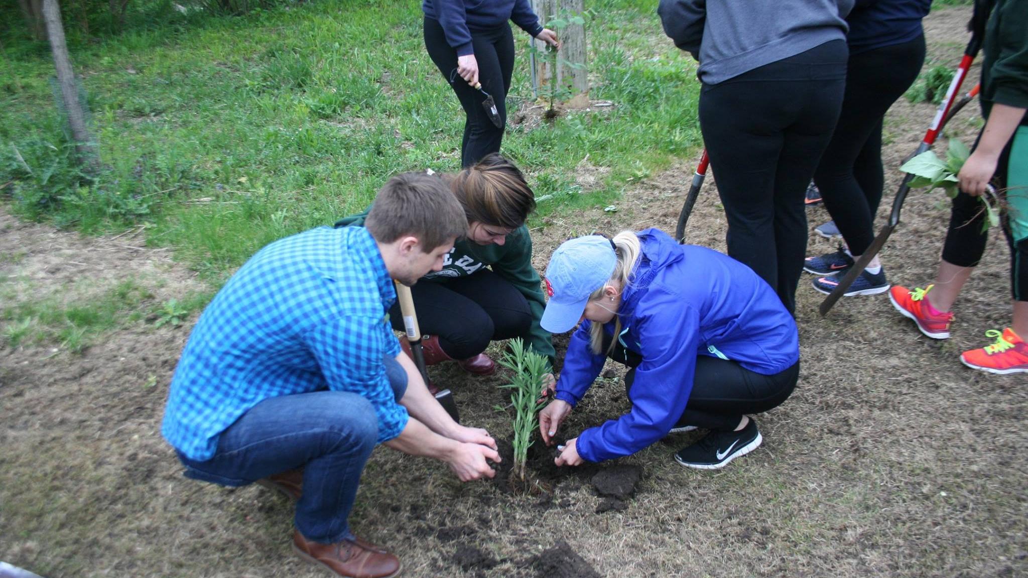 How To Become An Environmental Scientist 5 Tips North Central College   Environmental Students 2 